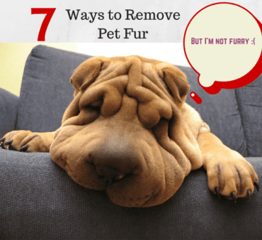 7 ways to keep pet fur out of your living space