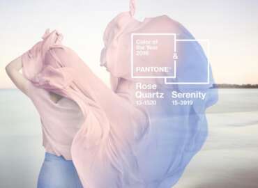 Pantone’s Colour of the Year (Design and History)