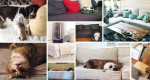Le migliori recensioni e chiacchierate su Comfort Works
