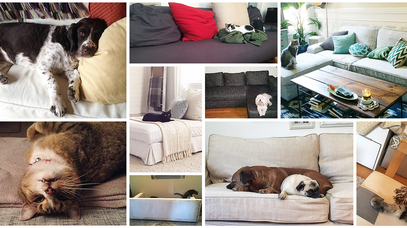 Le migliori recensioni e chiacchierate su Comfort Works