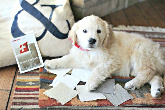 Did you know our fabric samples can be used as coasters?