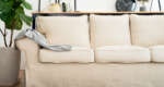 Ausführliche IKEA Ektorp Sofa Bewertung – ein zeitloser Liebling
