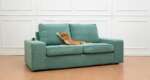 Where to get the ultimate cat proof couch – without buying a new one