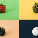 Das brandneue vegane Menü bei IKEA, von dem jeder schwärmt: Hier sind die Favoriten des Internets