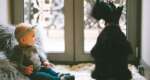 When should you introduce your new baby to your pets?