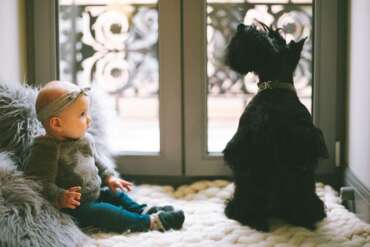 When should you introduce your new baby to your pets?
