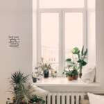 Für Anfänger: Wie errichte ich einen Innengarten?