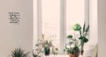 The beginners guide to setting up an indoor garden