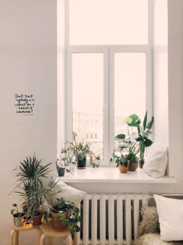 The beginners guide to setting up an indoor garden