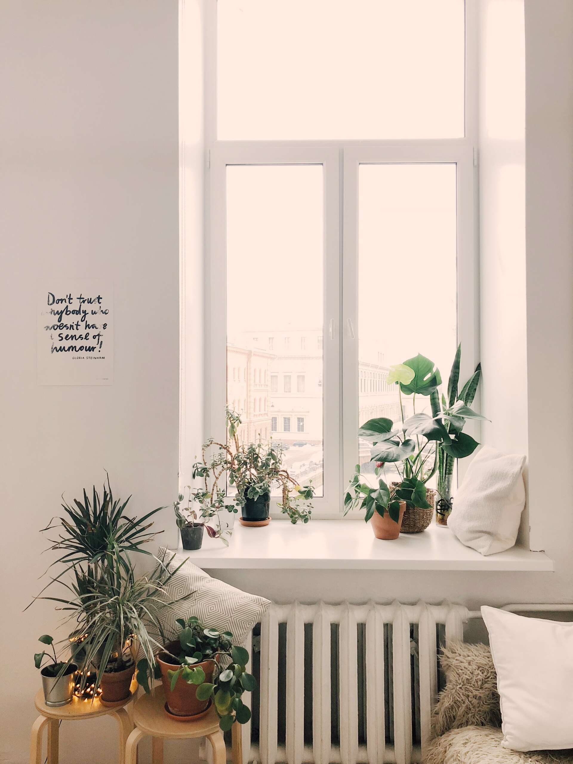 Für Anfänger: Wie errichte ich einen Innengarten?