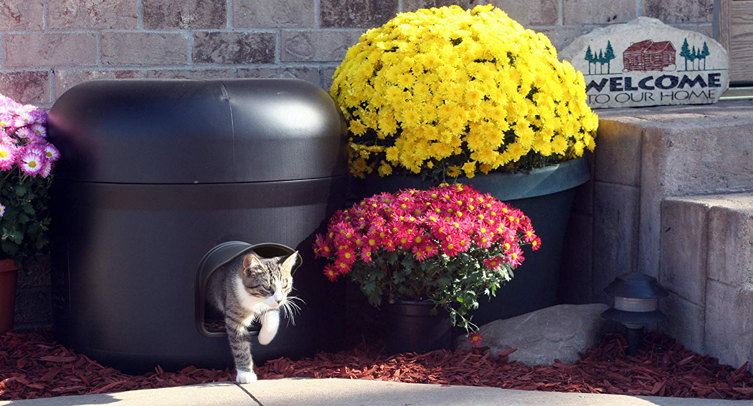 5 cat houses on Amazon that your cat will love