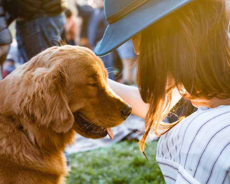Got a problematic pet? Here’s where to get help