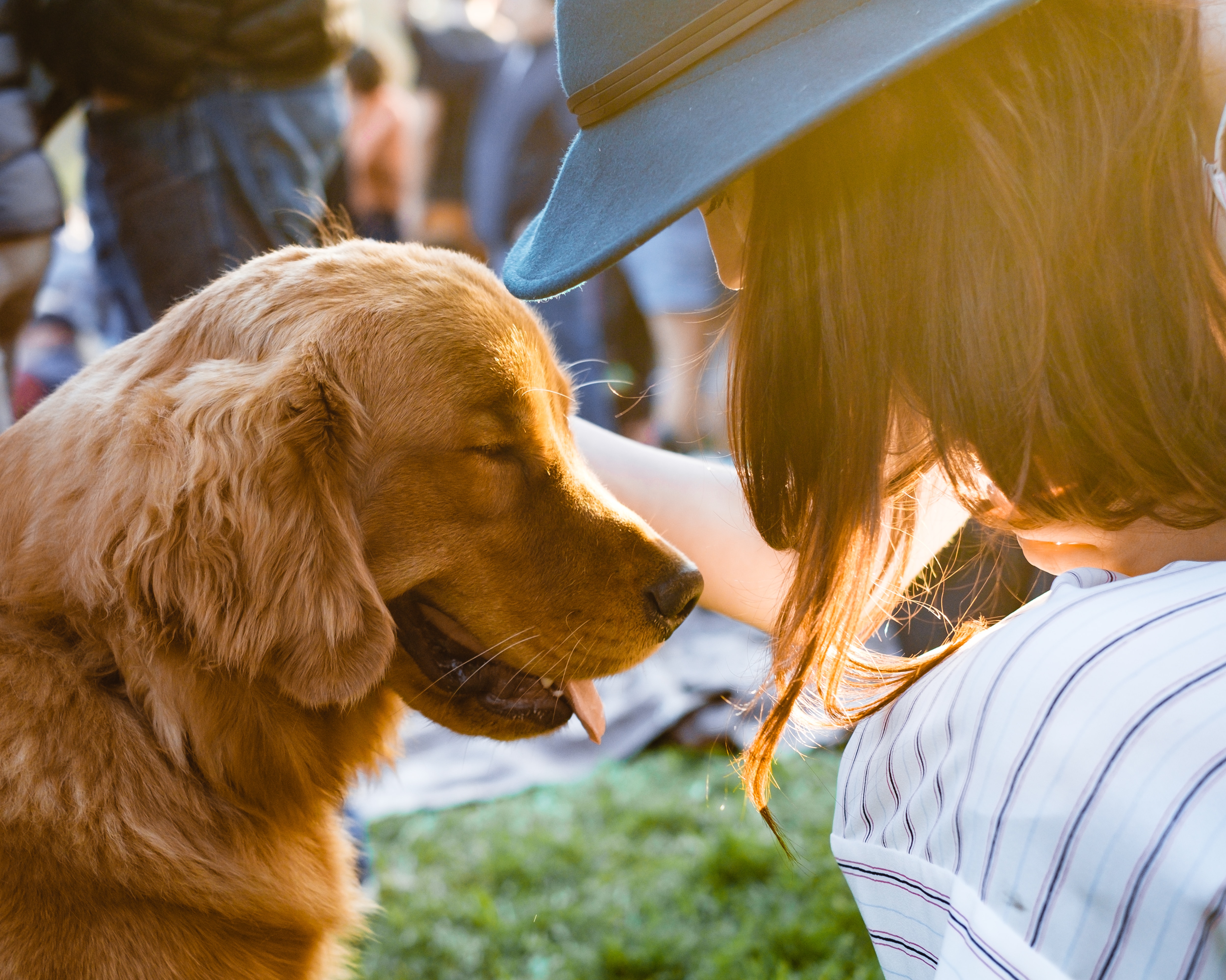 Got a problematic pet? Here’s where to get help