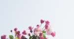 12 Spring home decorating ideas