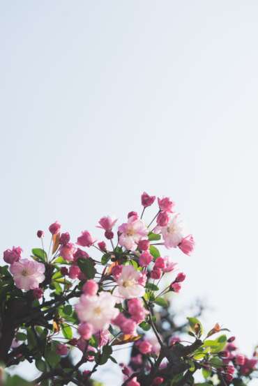 12 Spring home decorating ideas