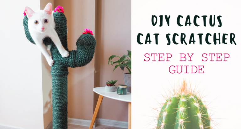 How to DIY your own cactus cat scratcher