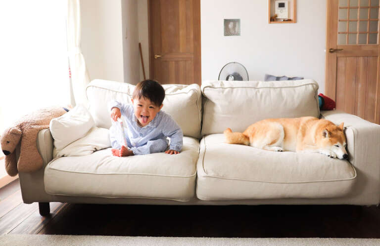 How to grow a sofa with your family