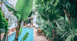 Turn your home into a tropical resort this summer