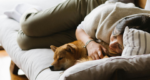 Sofa beds don’t have to suck: 5 IKEA options that prove it