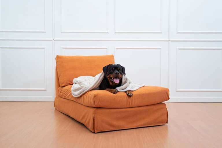 The best IKEA chaise lounges for napping