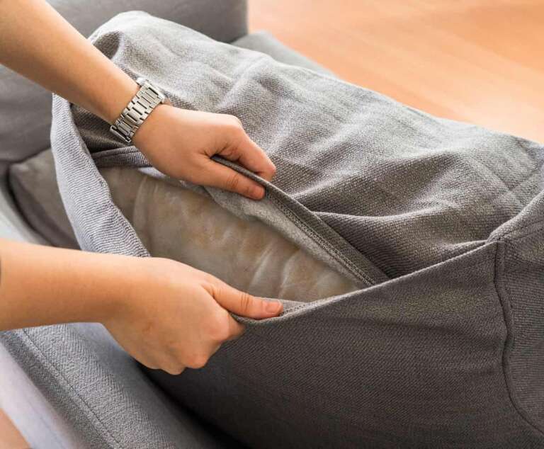 How dirty is your couch and why
